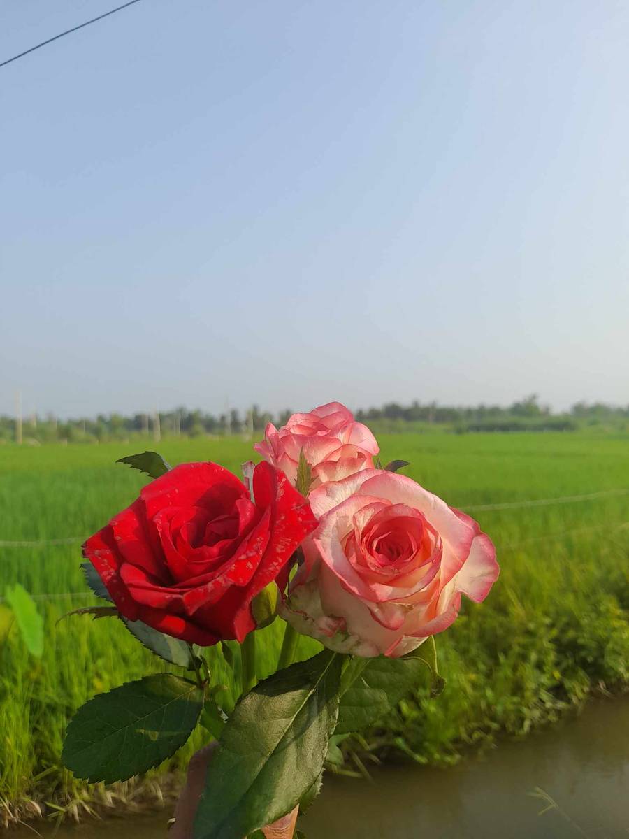 anywhere in kathmandu inside or outside ringroad
