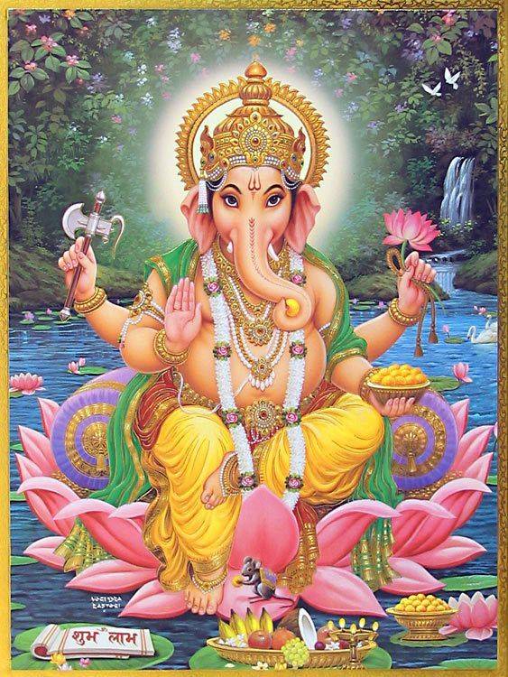 Room need around maitidevi/ganeshwor