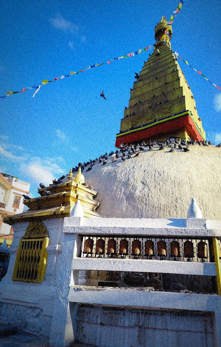 1single room. Needed