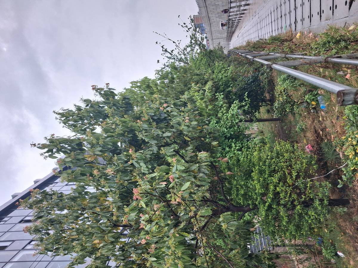 1 bhk or 2bk and personal washroom