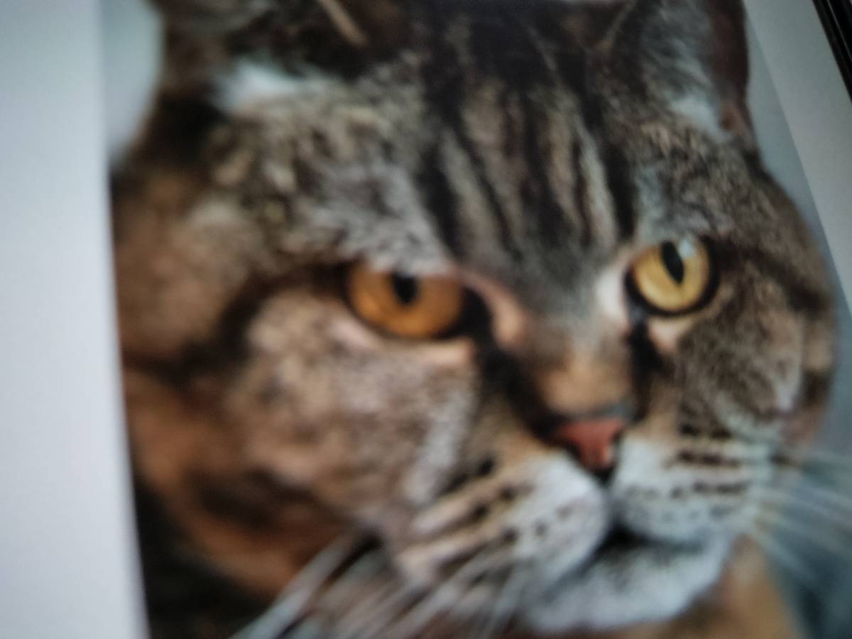 Bright 1 BHK flat in sorakhutte