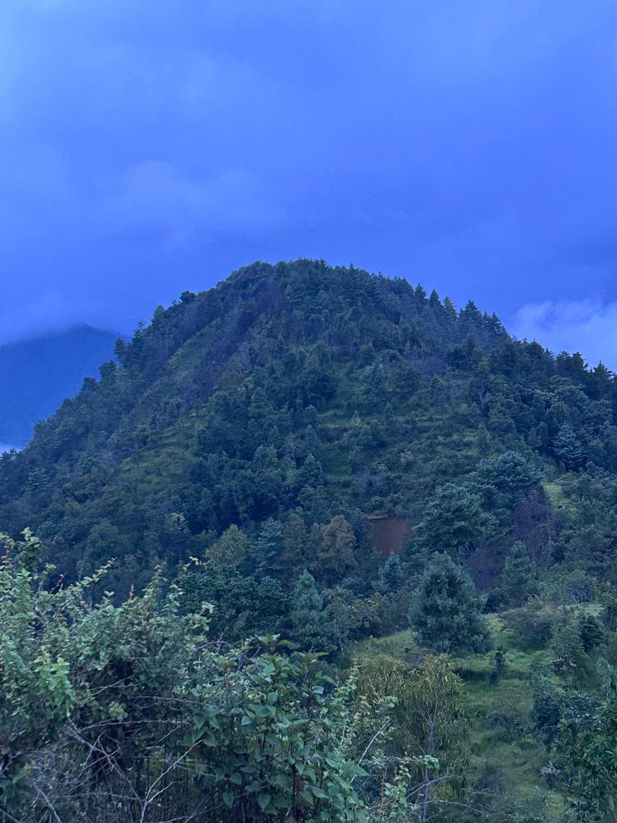 Flat in kalimati, Rabi Bhawan area