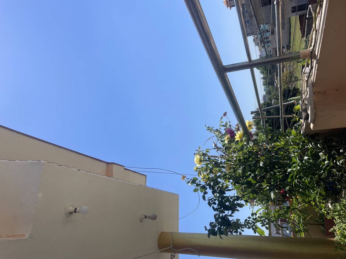 Room needed in kirtipur panga dobato or nagau area