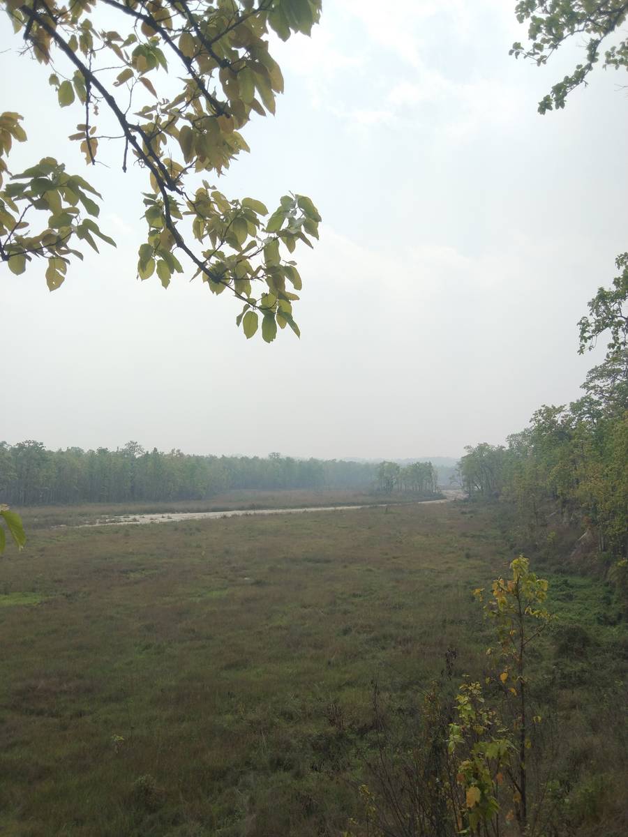 Need 1 room in sinamangal or koteswor