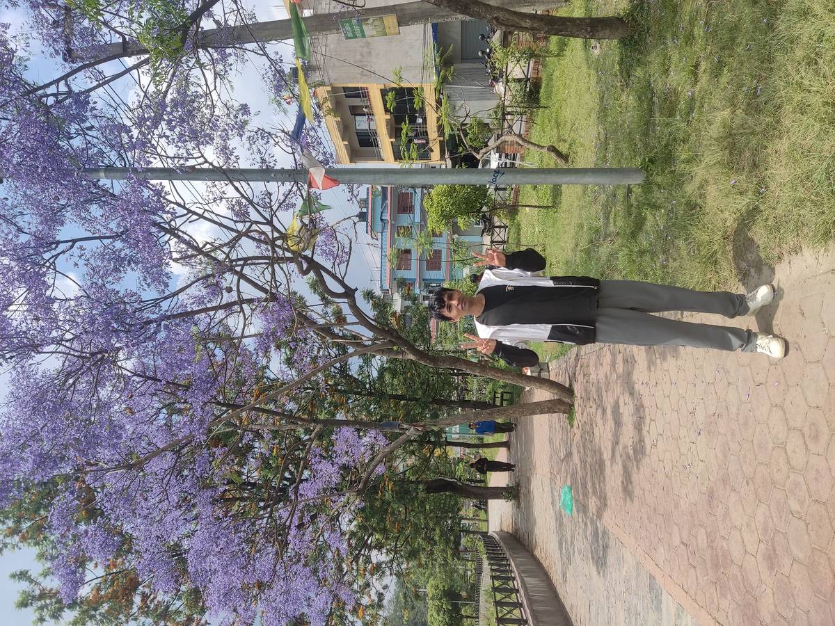 1bhk near new baneswor or 2 room