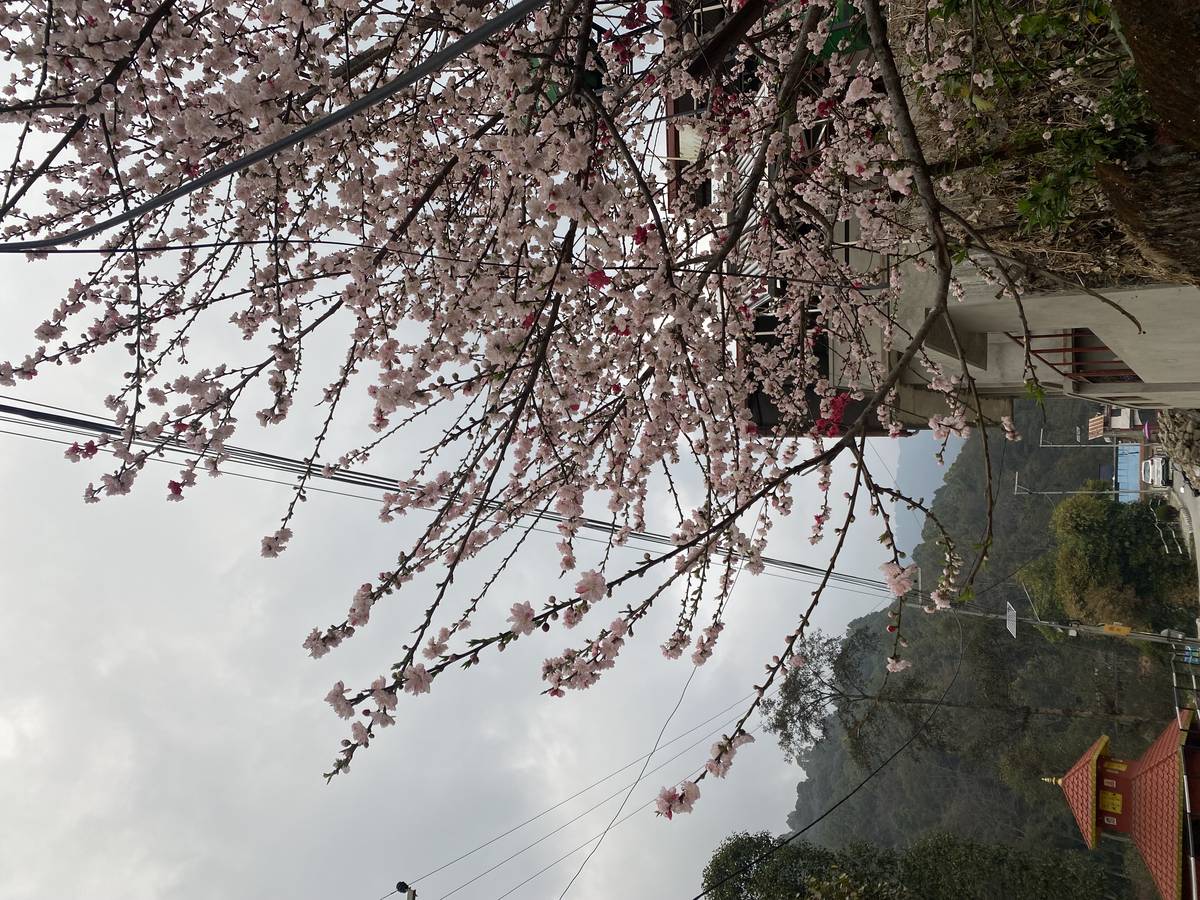 Bright kitchen set 2 rooms, Jorpati