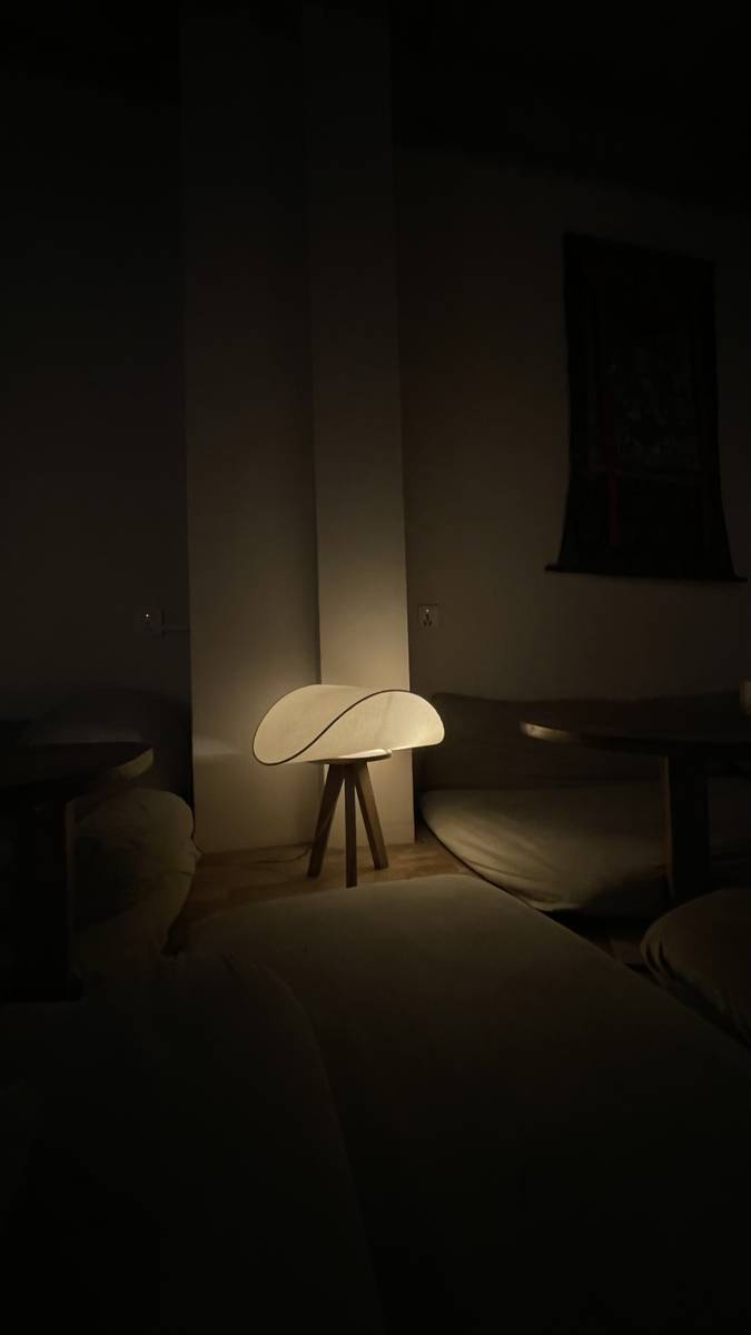 Need a flat in thamel area