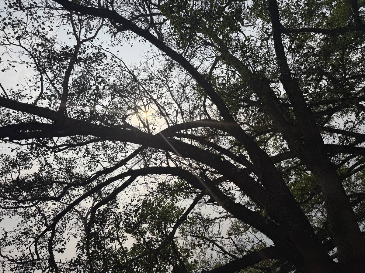 Single room for 2 person near by Tangal