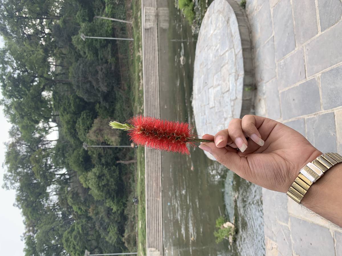 Thali nayabasti boudha chabel tushal area ma room chha vane contact please