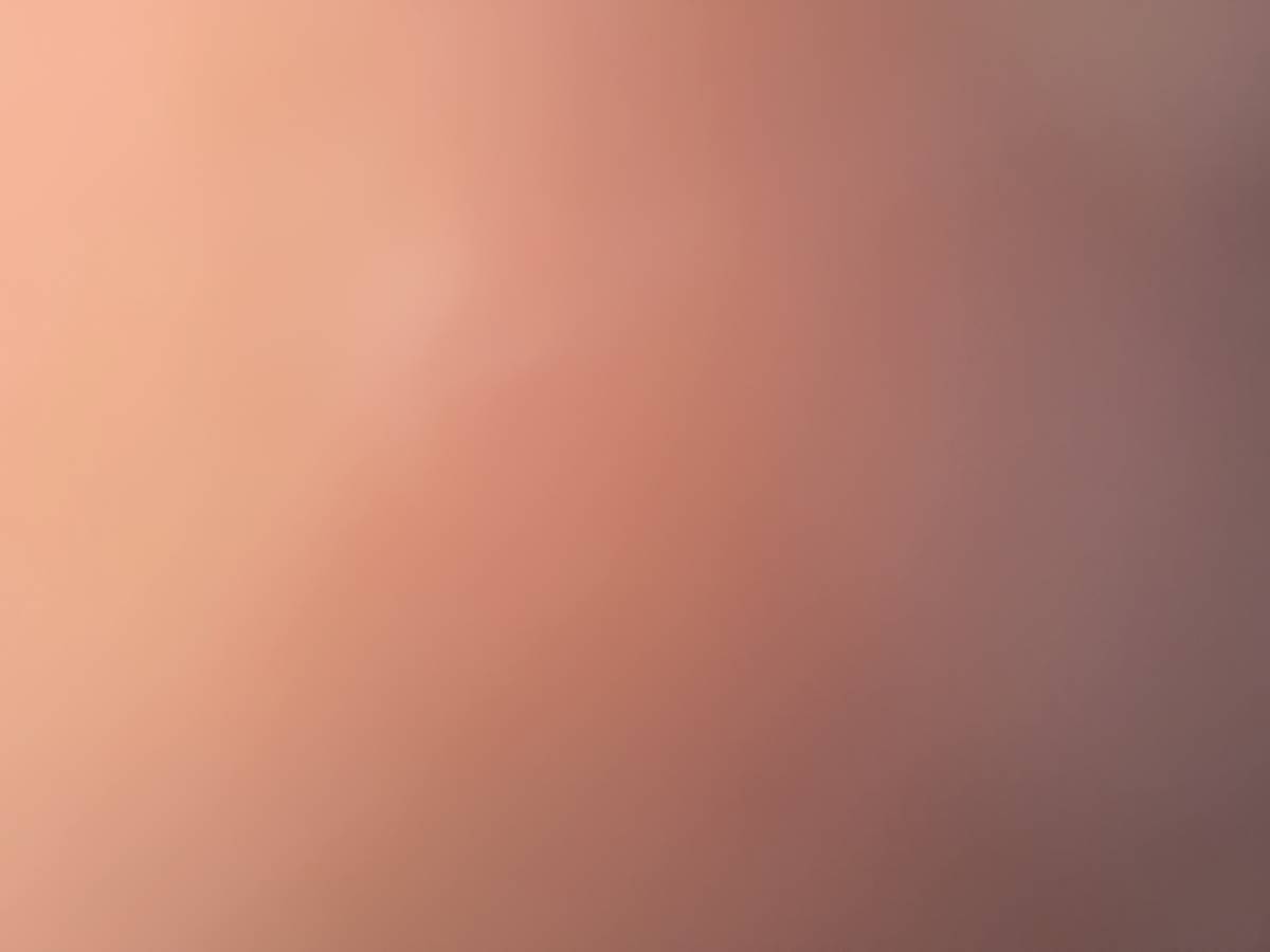 Roo